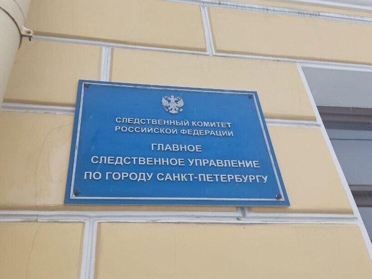 Бастрыкин заинтересовался делом о нападении петербурженок на 11-летнюю девочку