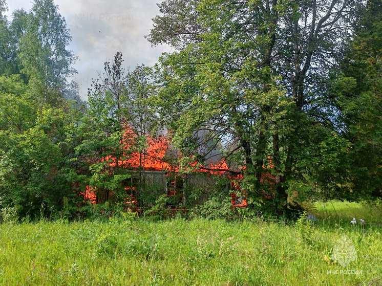 За прошедшие сутки  калужские спасатели ликвидировали пять пожаров