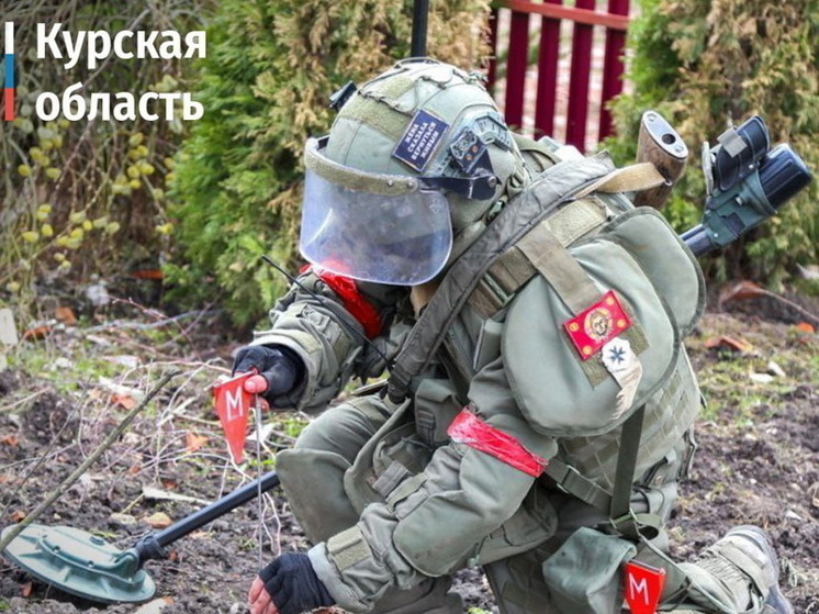 В Курской области ВС РФ обезвредили почти 2 тысячи мин и снарядов