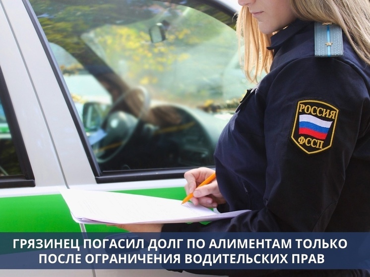 Грязинец погасил долг по алиментам в 77 тысяч рублей после ограничения права на вождение