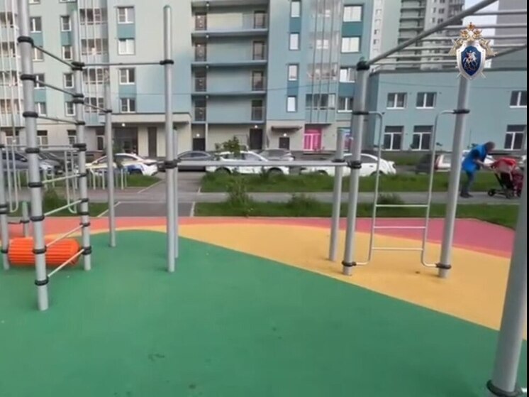После падения с турника в Петербурге девятилетнюю девочку забрали в реанимацию