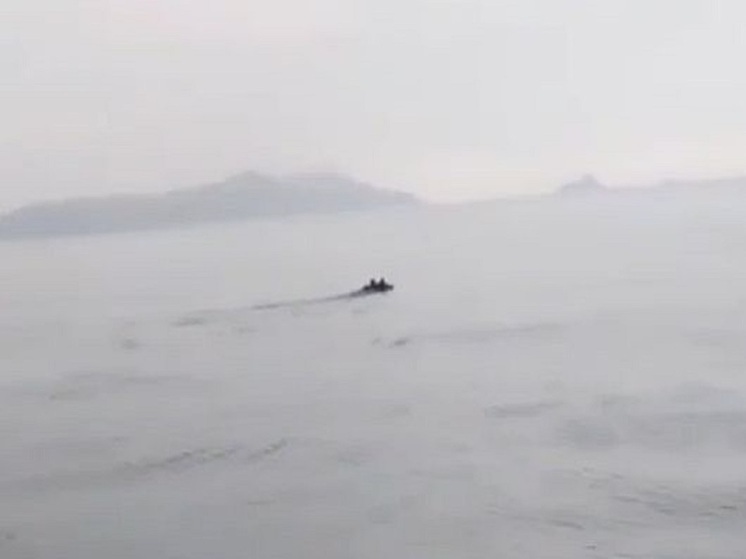 Плывущего в море бурого медведя встретили рыбаки в Приморье