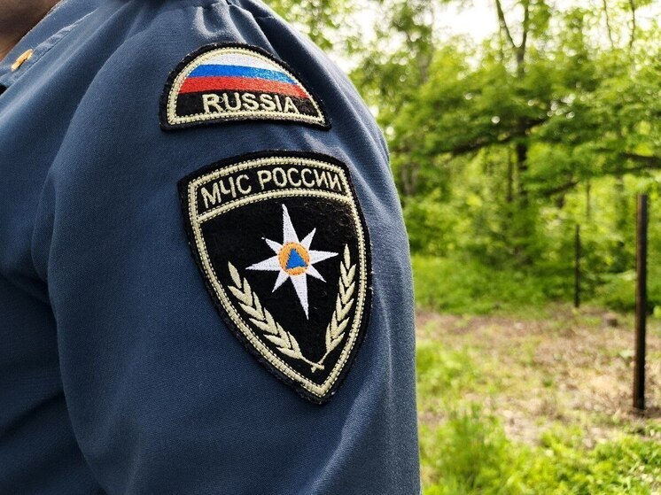 В Приамурье завершились соревнования в области безопасности жизнедеятельности для школьников