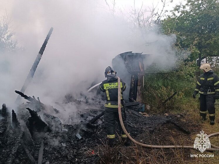 В Веневском районе пожарные потушили огонь в хозяйственной постройке