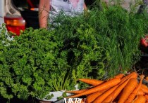 В Чите с 9 июня по 6 сентября по 17 адресам будут работать точки продажи сельскохозяйственной продукции, выращенной на огородах местных жителей