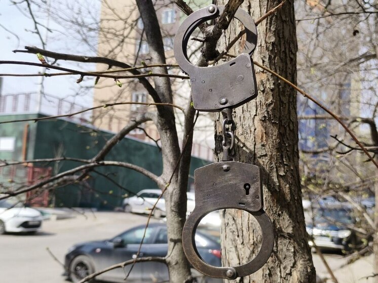 Сел за руль и потерял автомобиль: хабаровчанин понесет наказание за собственную инфантильность