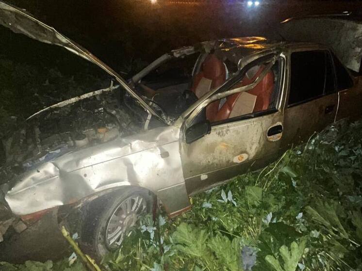 В Валдайском округе на ФАД М-10 водитель пострадал при столкновении с лосем