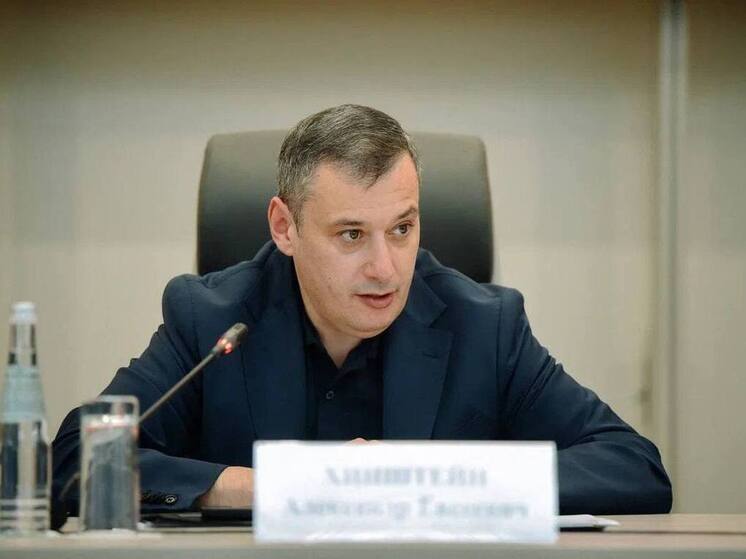 Хинштейн раскритиковал затянувшееся благоустройство въезда в Новую Боевку