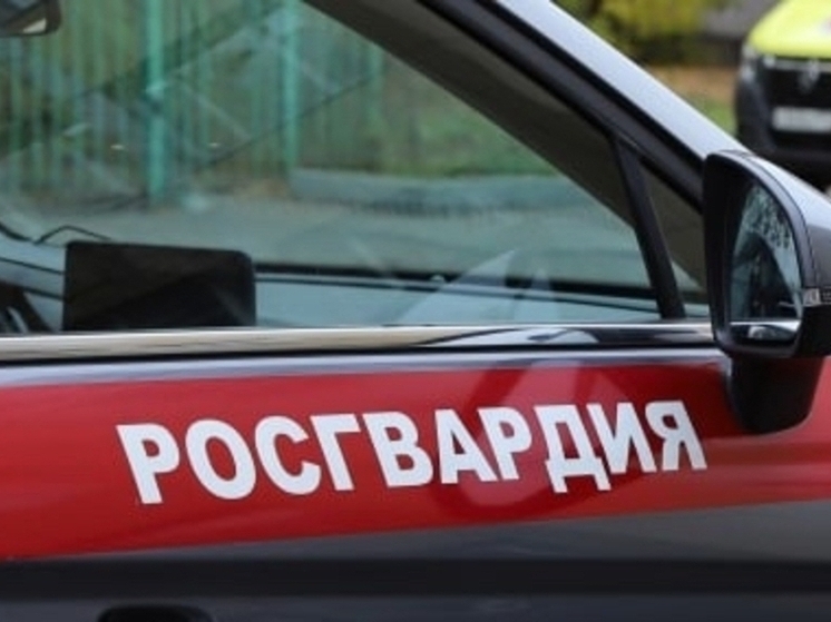 Пензенские росгвардейцы усмирили дебошира в сауне