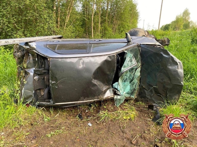 Появились подробности аварии в Тверской области, где пострадали маленькие дети