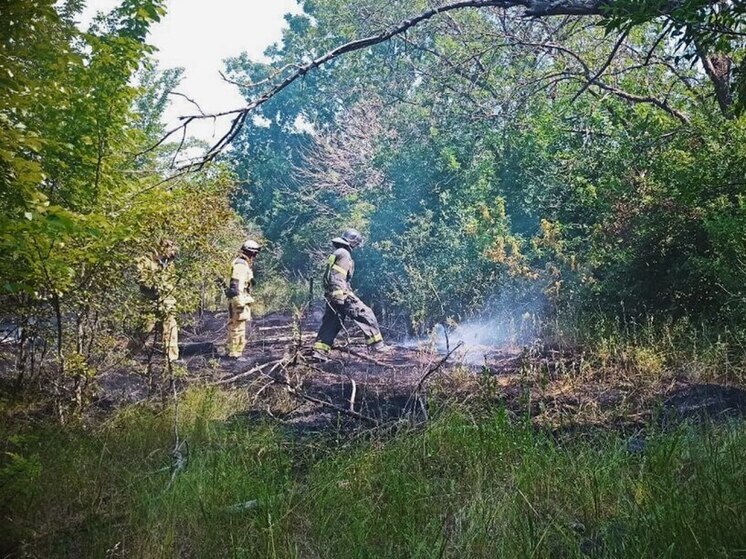 Сорок семь природных пожаров потушили в ЛНР