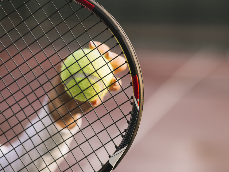 Диана Шнайдер осталась на 12-й строчке в мировом рейтинге WTA после Ролан Гаррос