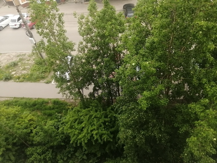  По области облачно с прояснениями