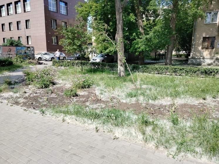 В Челябинске бьют тревогу из-за пуховых пожаров