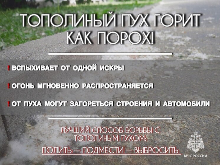 Псковичам напомнили про пожарную безопасность летом