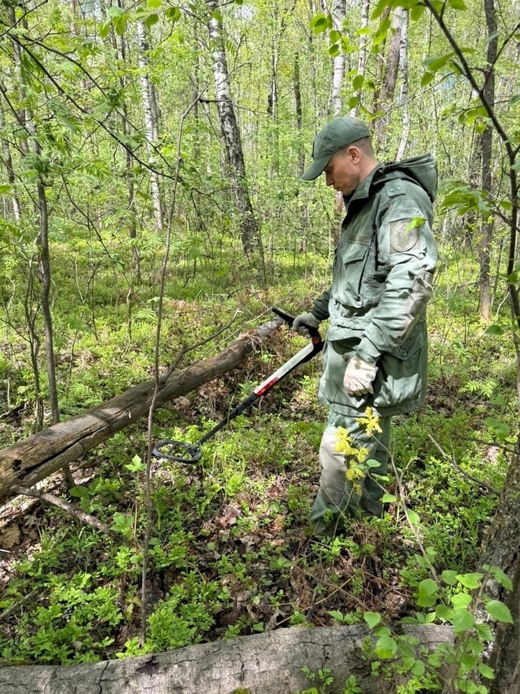 В Судогде расследуется уголовное дело об убийстве местного жителя