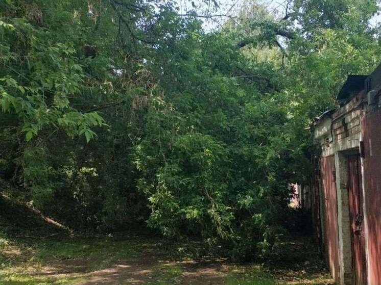 В Чехове во время ненастья огромное дерево упало на 3 гаража