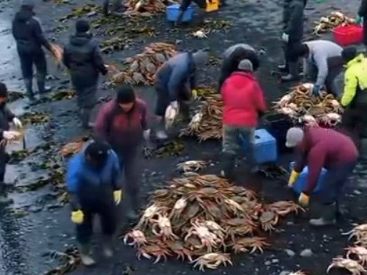 Видеоролик про "нашествие крабов" в российском регионе оказался сгенерирован ИИ