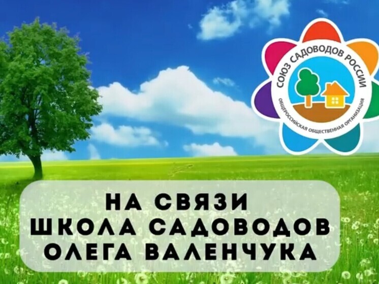 «Горячая линия» от Союза садоводов