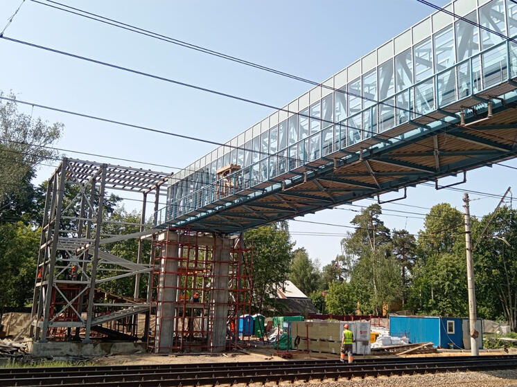 В Подмосковье построят 6 переходов через ж/д и усилят контроль за зацеперами