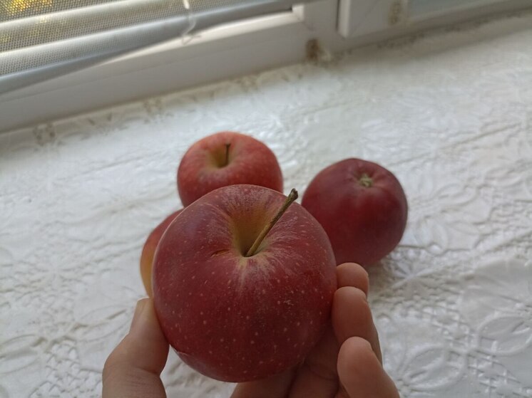 Гигиенист разъяснила, правда ли яблоки можно использовать вместо зубной щетки