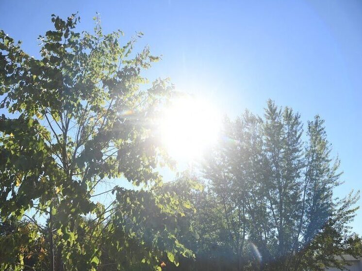 В Волгоградской области 10 июня ожидается жара до +35 градусов