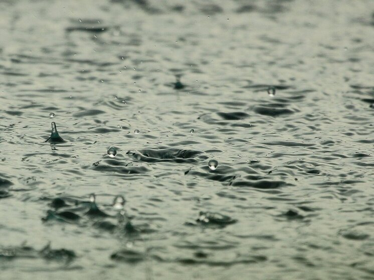 Синоптик Шувалов посоветовал жителям Москвы "запастись дождевиками" к выходным