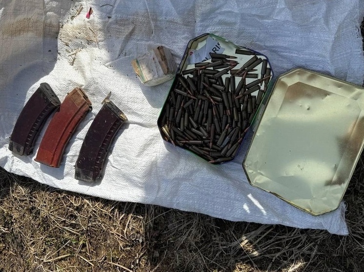 Жителя Костромской области уличили в домашнем схроне