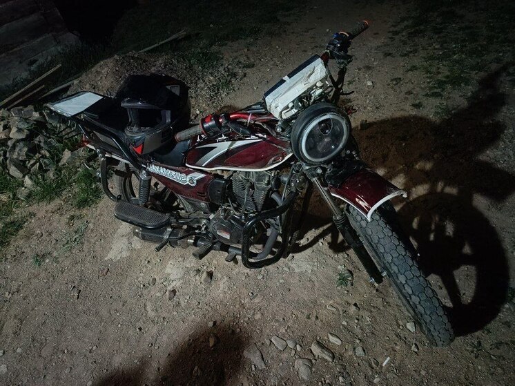 Подросток из Забайкалья сбил собаку на мотоцикле и попал в больницу