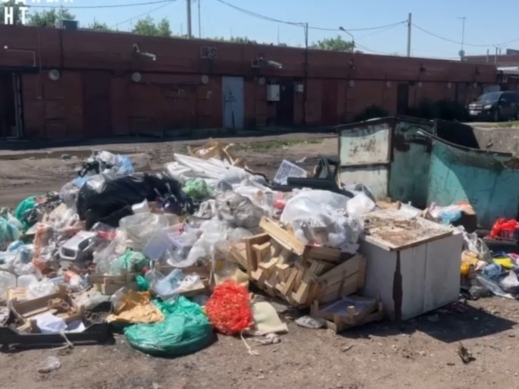 Жители Черногорска пожаловались на стихийную свалку прямо в центре города