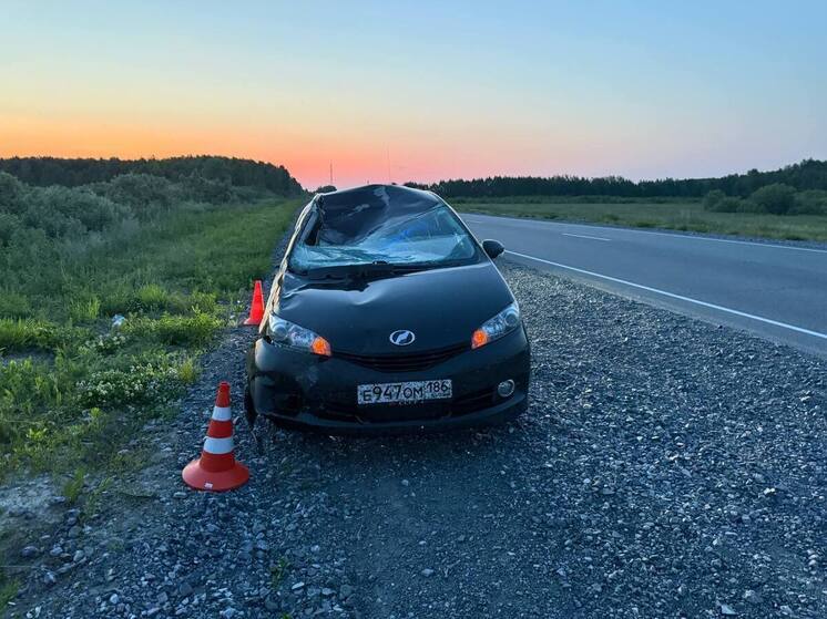 Семья из Ноябрьска попала в ДТП под Тюменью, насмерть сбив лося
