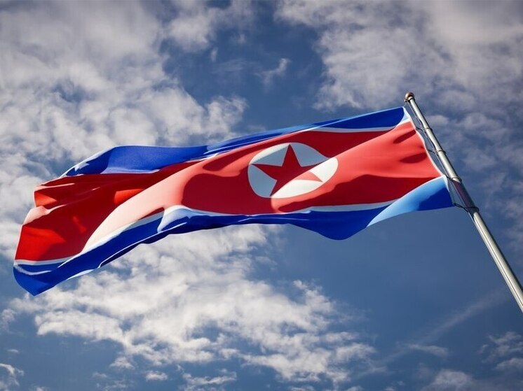 ТАСС: пленный ВСУ высоко оценил качества солдат КНДР в Курской области