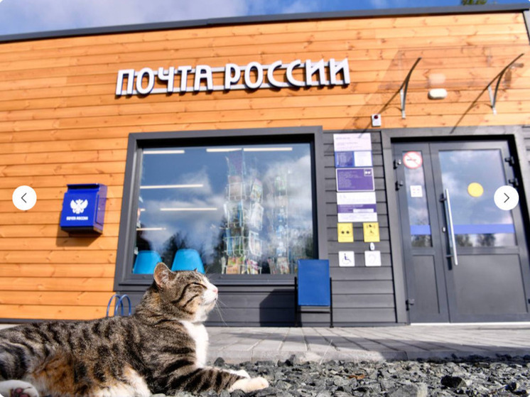 В конкурсе «Земский почтальон» в 2025 году участвовало 20 кандидатов от Херсонской области