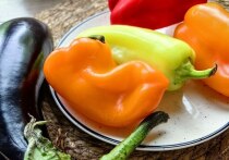 Близятся праздничные дни – для кого-то это четыре дня отдыха, для кого-то – заботы о растениях на даче