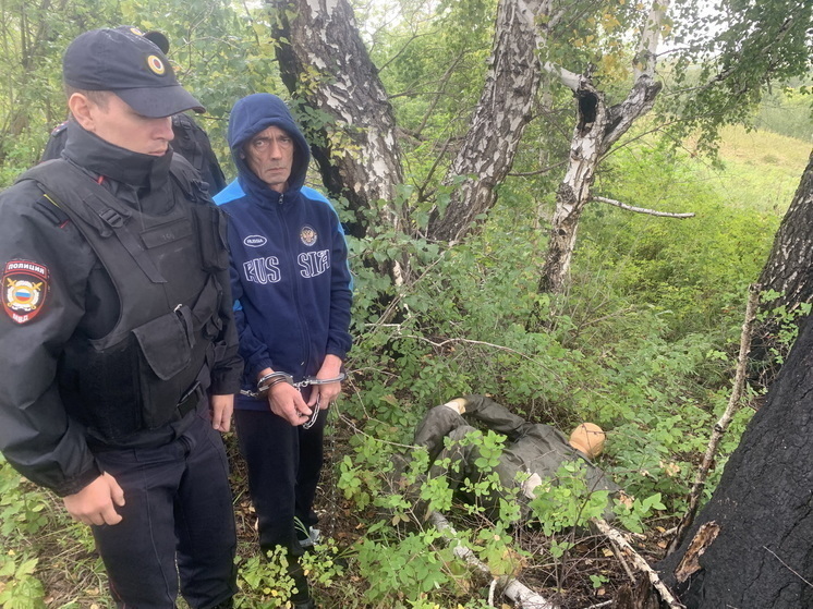 В суд по делу «барнаульского маньяка» после критики следственных действий вызовут понятых