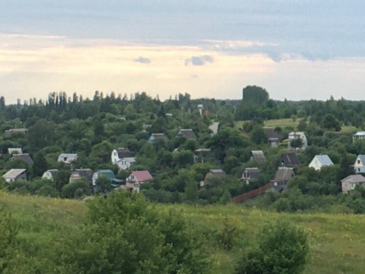 Семь воронежских муниципалитетов пытались атаковать украинские БПЛА 10 июня