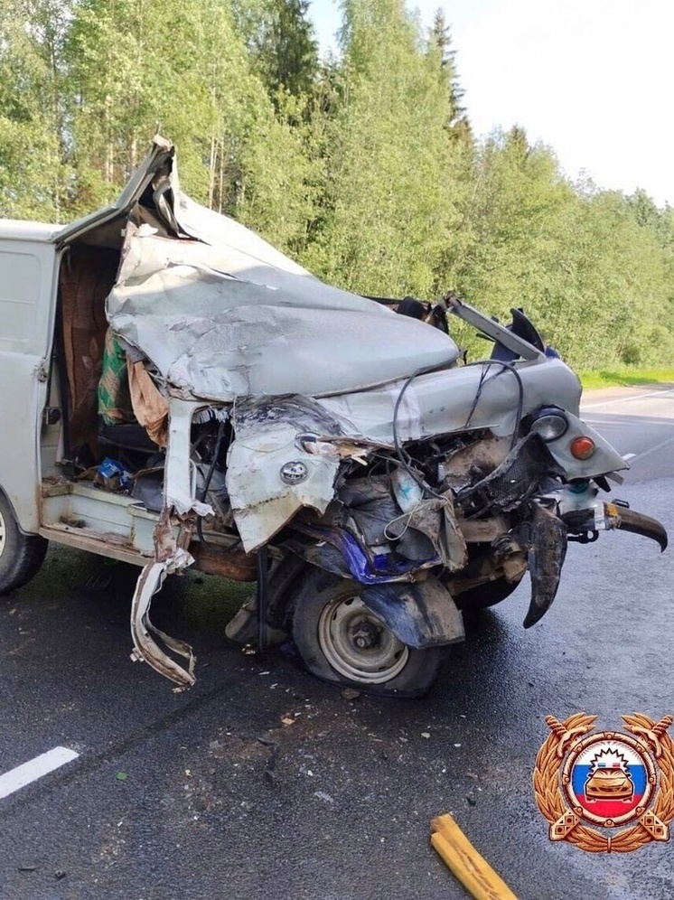 В Тверской области водитель въехавшей в фуру «буханки» не был пристегнут