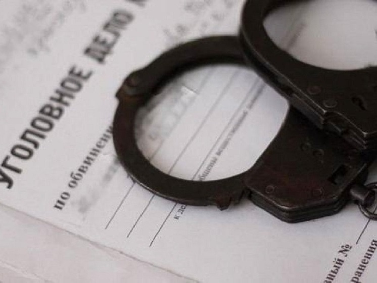 В Бердянске полицейские задержали подозреваемую в причинении тяжких телесных