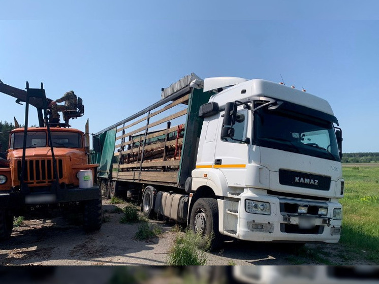 Минлесхоз Пензенской области отправил на СВО древесину для строительства укреплений