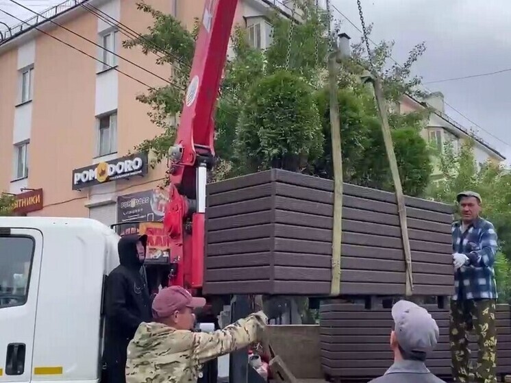 Улан-Удэ украсят кашпо с туями
