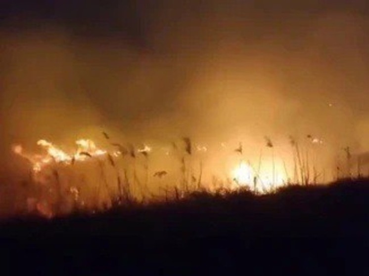 За минувшие сутки на Херсонщине произошло 13 пожаров