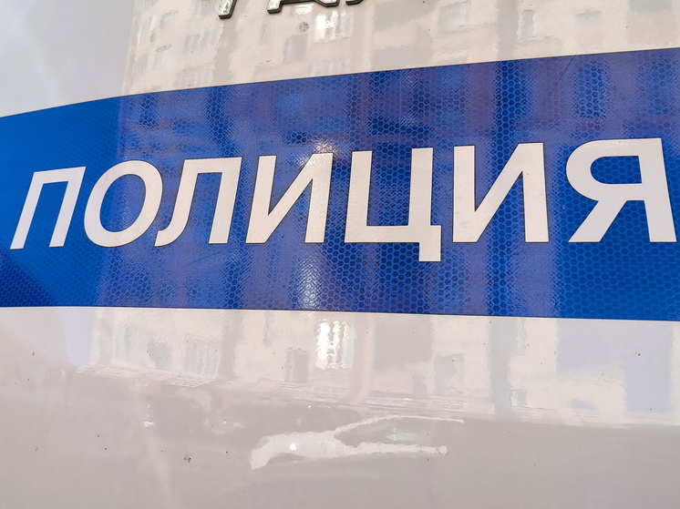 Полицейские раскрыли кражу благодаря установленной в квартире видеокамере