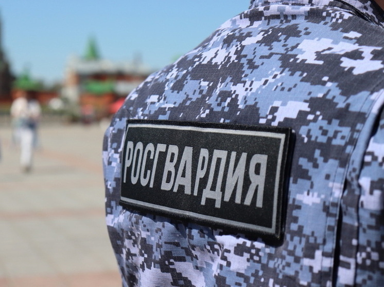 В Марий Эл сотрудники вневедомственной охраны Росгвардии за прошедший месяц задержали более 40 нарушителей