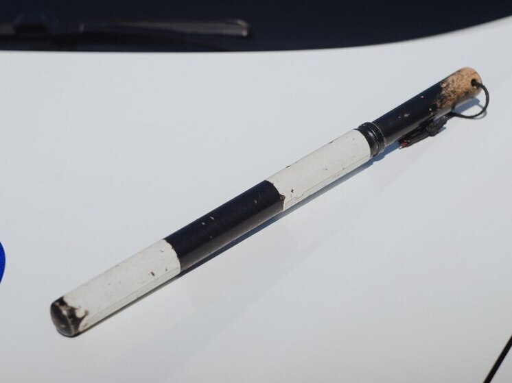 В Пензе автомобиль сбил пешеходов, среди пострадавших ребенок