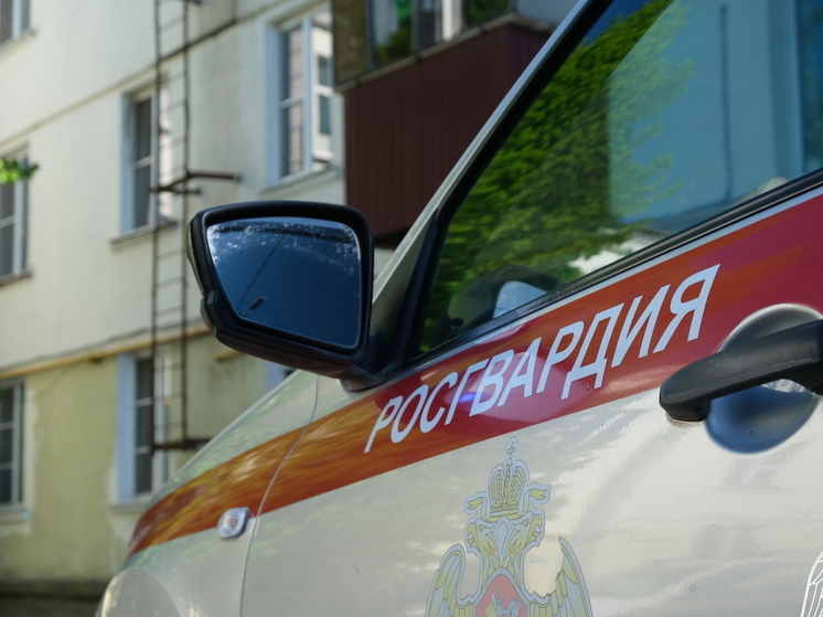 Курские росгвардейцы за неделю пресекли 135 правонарушений