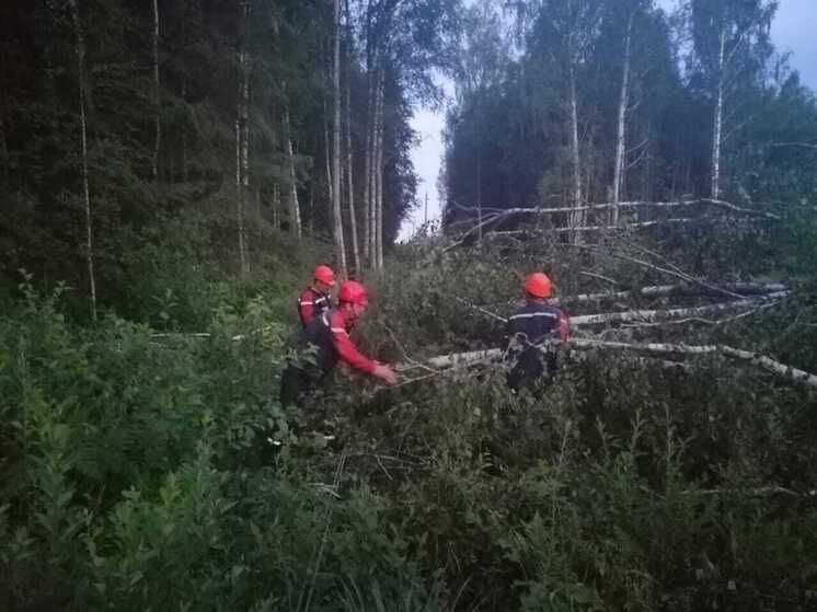 Больше 160 энергетиков филиала «Россети Центр» - «Тверьэнерго» продолжают восстанавливать электроснабжение