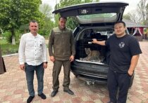 Животное было найдено в квартире жилого дома в мае