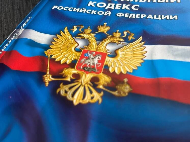 СК возбудил уголовное дело по случаю избиения бойца СВО и его жены в Горняке