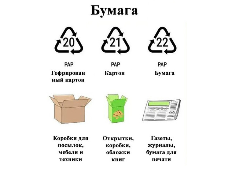 Раздельный сбор отходов: бумага