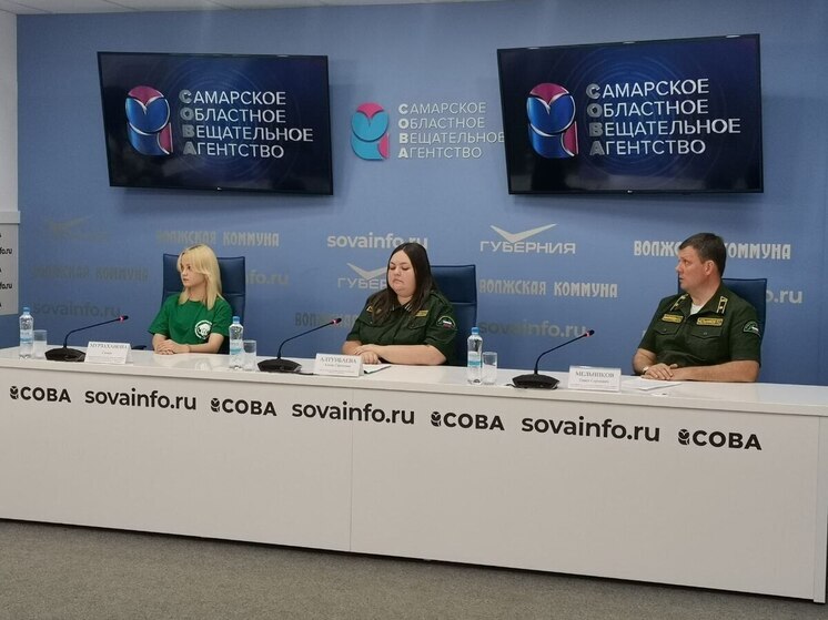 В Самарской области планируют вдвое увеличить темпы восстановления лесов